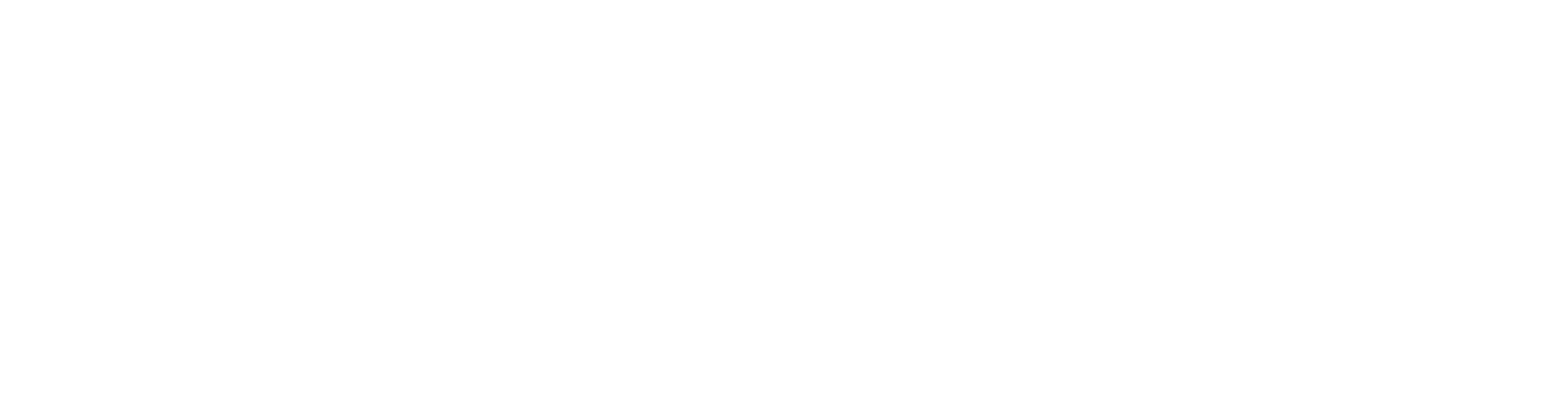 Layher